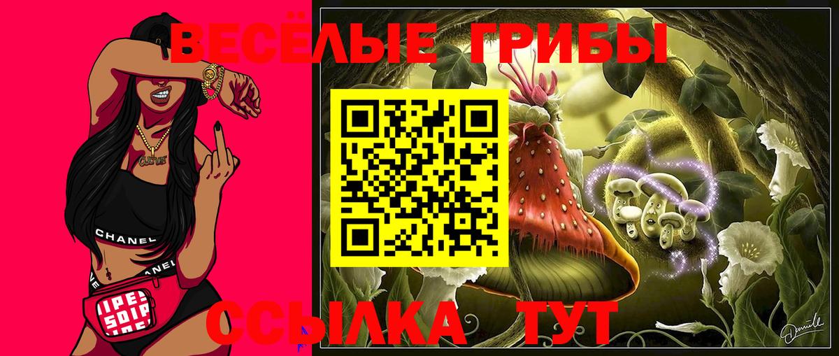 Псилоцибиновые грибы Psilocybe  Вход с VPN  Уфа 