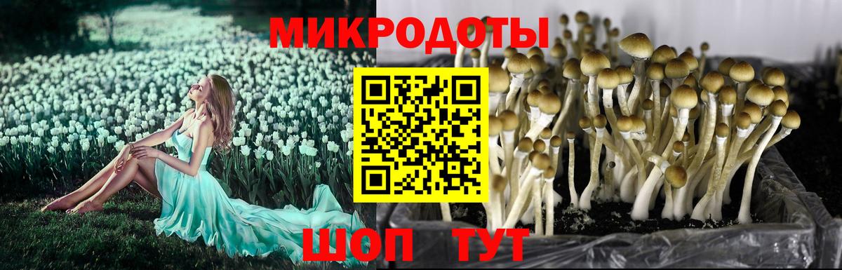 Галлюциногенные грибы Magic Shrooms Уфа